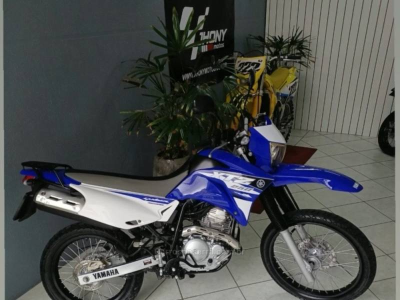 YAMAHA - XTZ 250 - 2008/2008 - Azul - R$ 13.900,00